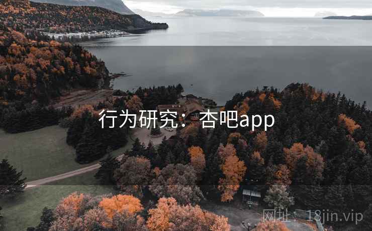 行为研究：杏吧app