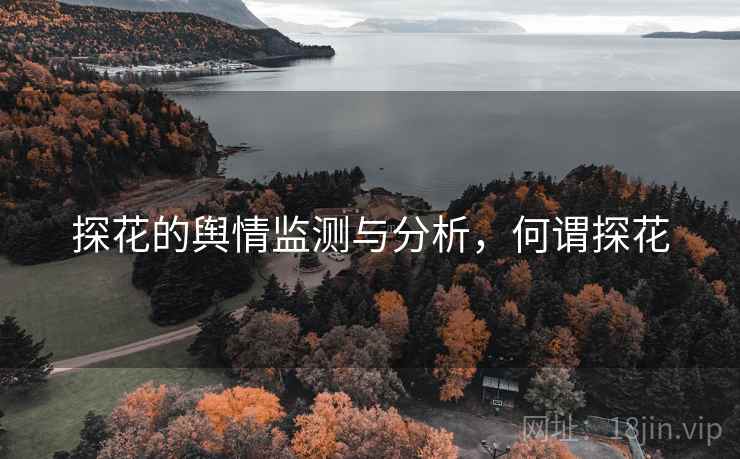 探花的舆情监测与分析，何谓探花