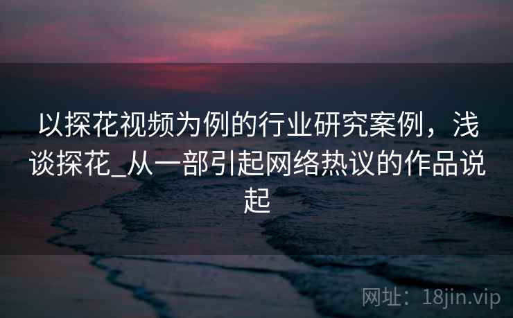 以探花视频为例的行业研究案例，浅谈探花_从一部引起网络热议的作品说起