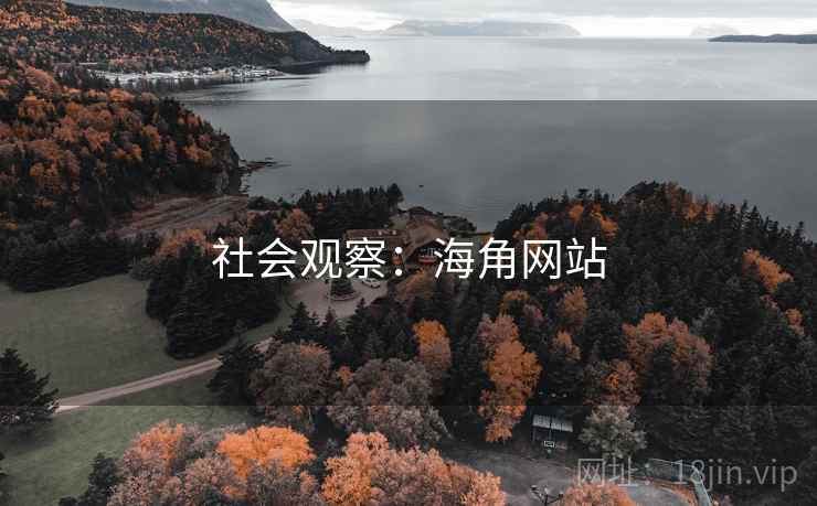 社会观察：海角网站