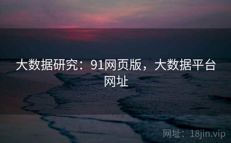 大数据研究：91网页版，大数据平台网址