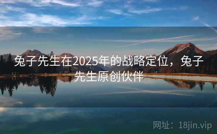兔子先生在2025年的战略定位，兔子先生原创伙伴