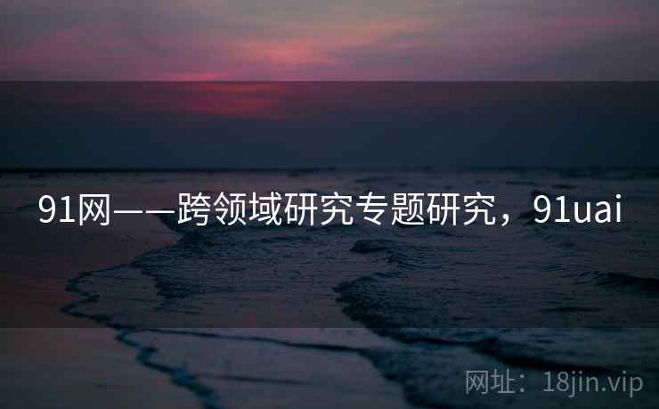 91网——跨领域研究专题研究，91uai