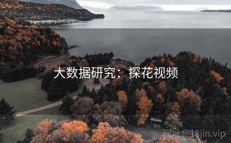 大数据研究：探花视频