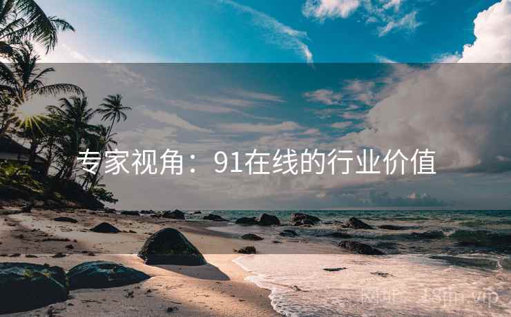 专家视角：91在线的行业价值